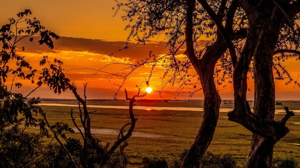 A stunning Chobe National Park sunset