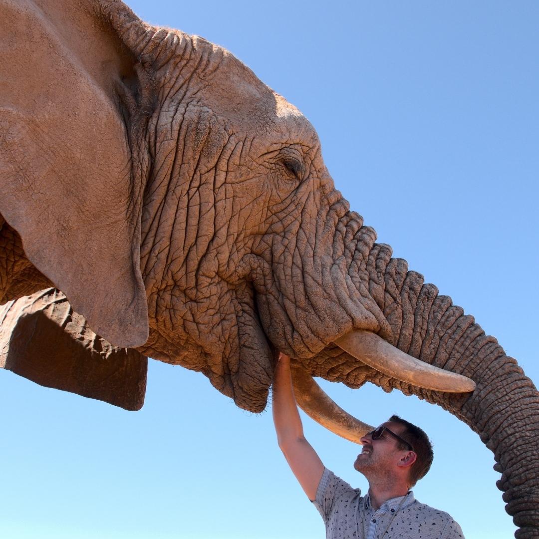 Elephant encounters - Botswana