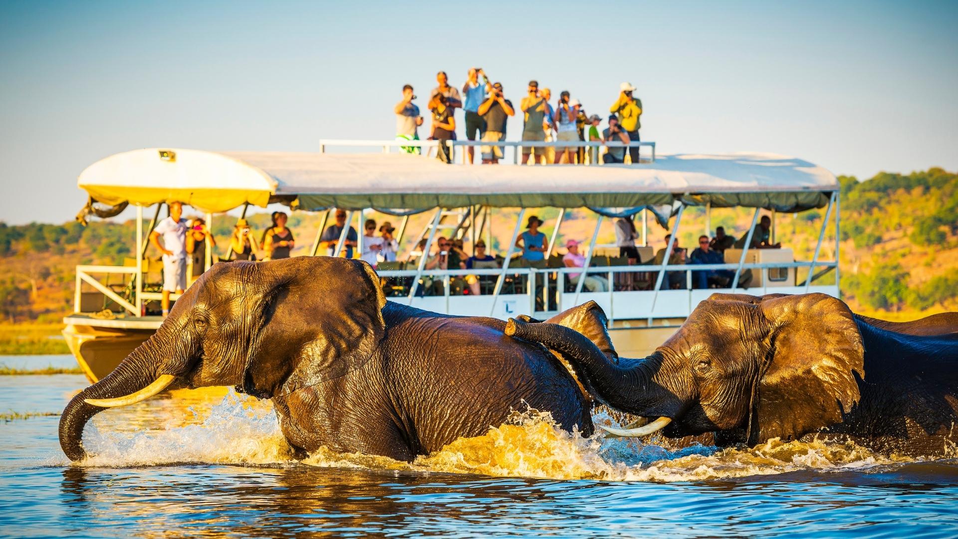Safari boat cruises - Botswana - Okavango Delta