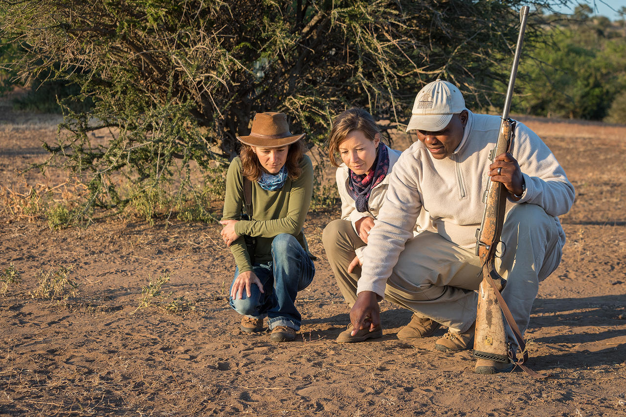 Walking safari with guide - Mashatu Tented Camp - Botswana