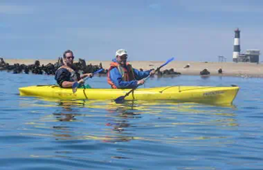 Kayaking Pelican Point - Namibia day tour
